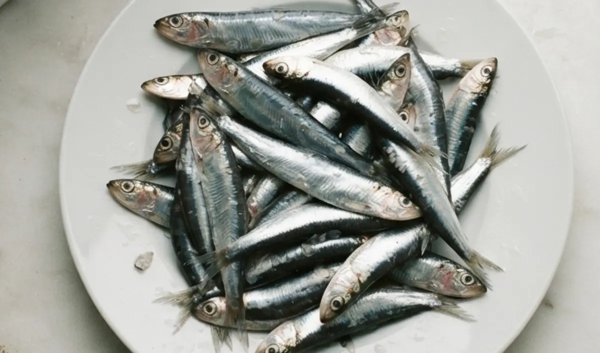 alici fresche in un piatto bianco di ceramica, pesce fresco di ottobre