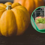 Muffins e cupcake ad halloween: dall’impasto alla decorazione, tutte le ricette più spaventose da fare a casa!