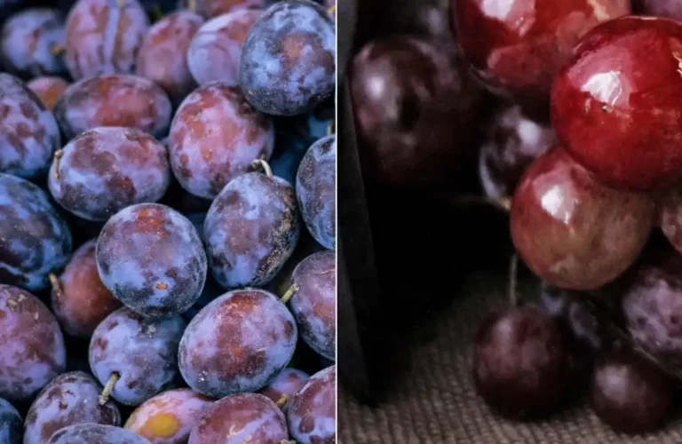 Confronto ravvicinato tra prugne e uva con pruina naturale integra a sinistra e frutta lavata e lucida a destra.