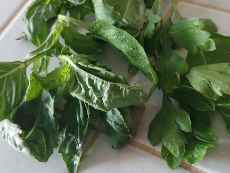 Prezzemolo e basilico fresco su ripiano di cucina bianco